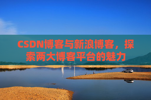 CSDN博客与新浪博客，探索两大博客平台的魅力